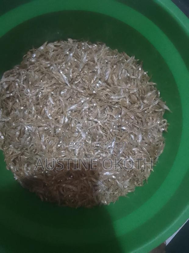 Dry Omena Austine Shop