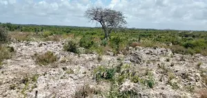 Mirango Properties Ltd