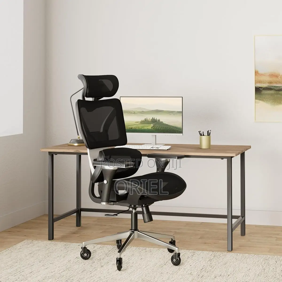 Office Chair : Orthopedic Office Chair With Adjustable Footrest
