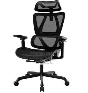Office Chair : Orthopedic Office Chair With Adjustable Footrest