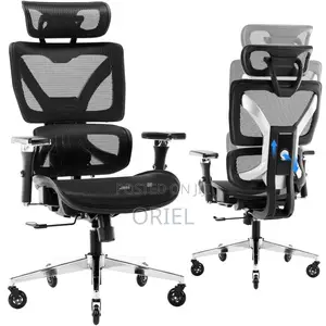 Office Chair : Orthopedic Office Chair With Adjustable Footrest