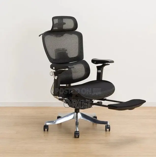 Office Chair : Orthopedic Office Chair With Adjustable Footrest