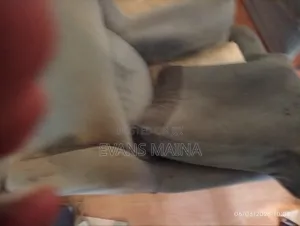Cleaning Services and Femigation