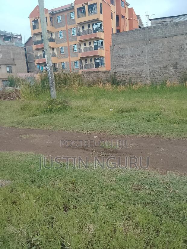 Sale of a Plot 5by100githurai45 - thumbnail 7