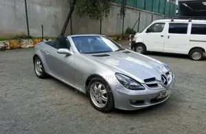 Mercedes-Benz SLK-Class 2005 Silver