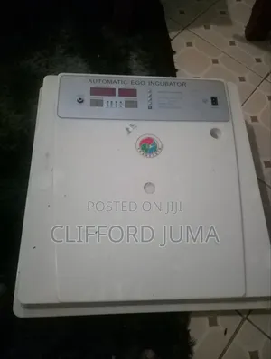 Automatic Egg Incubator