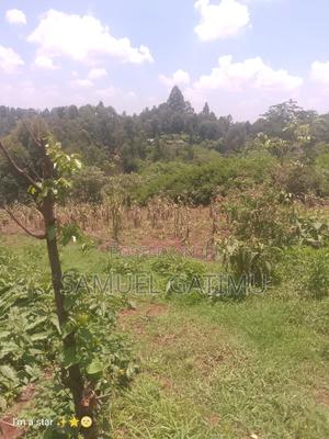 50/100 Njoro Ngewa Plot for Sale - thumbnail 2