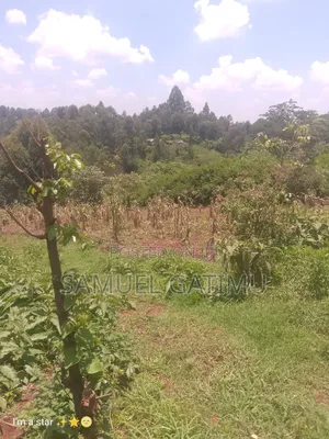 50/100 Njoro Ngewa Plot for Sale