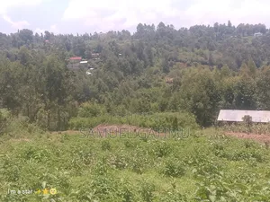 50/100 Njoro Ngewa Plot for Sale