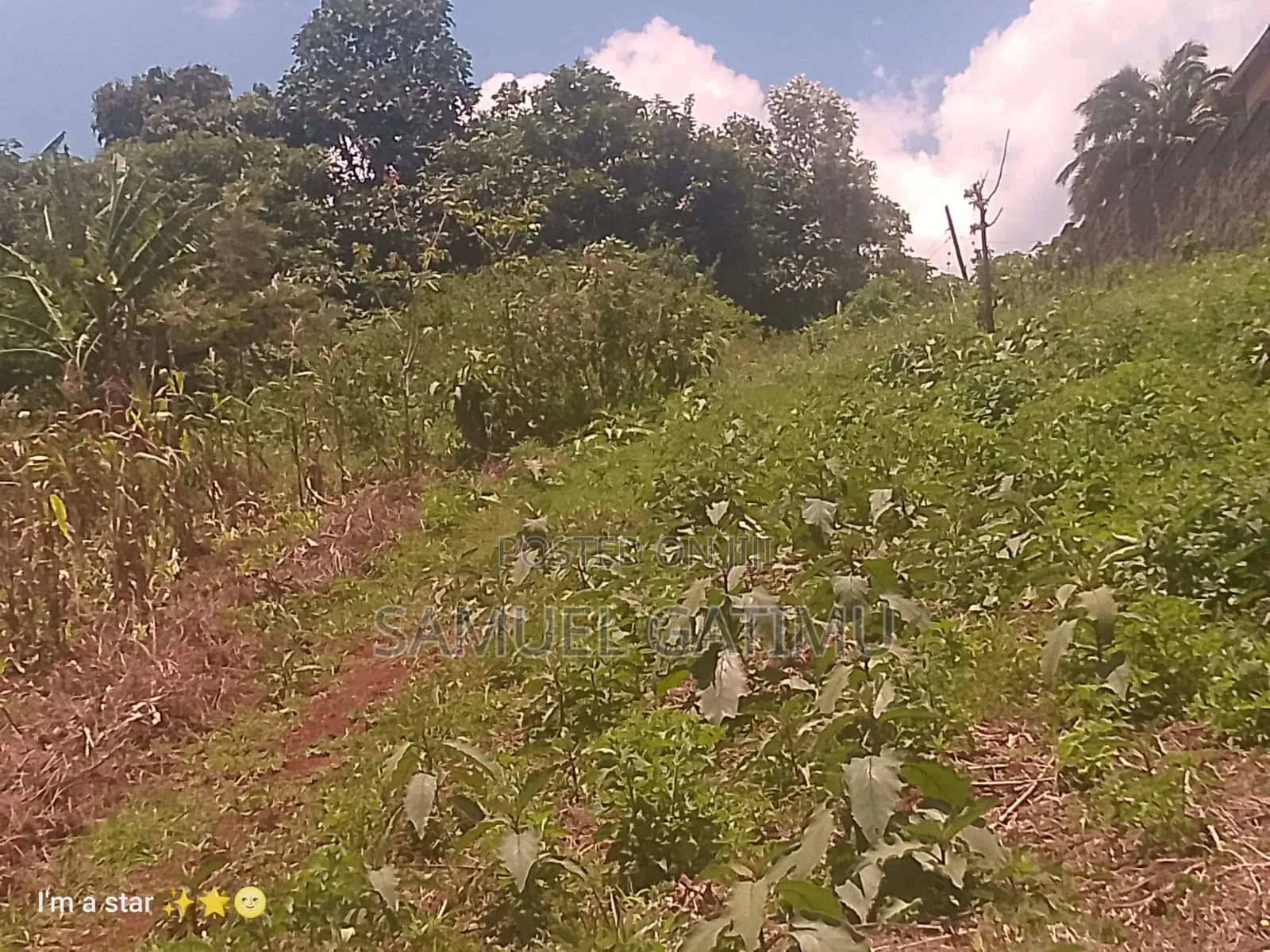 50/100 Njoro Ngewa Plot for Sale