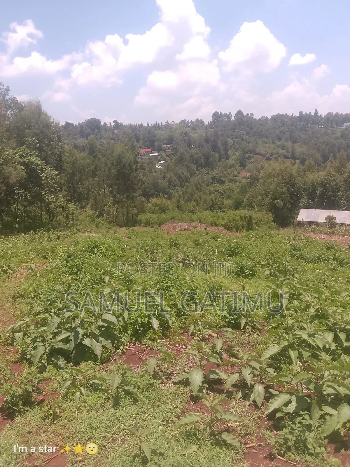 50/100 Njoro Ngewa Plot for Sale