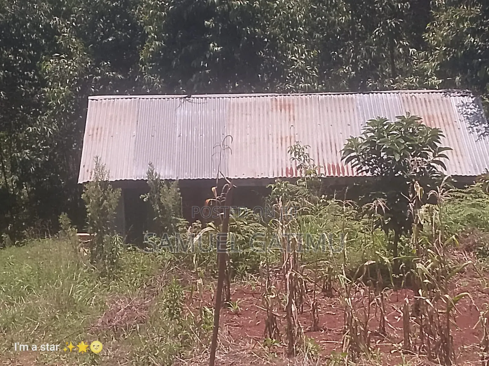 50/100 Njoro Ngewa Plot for Sale