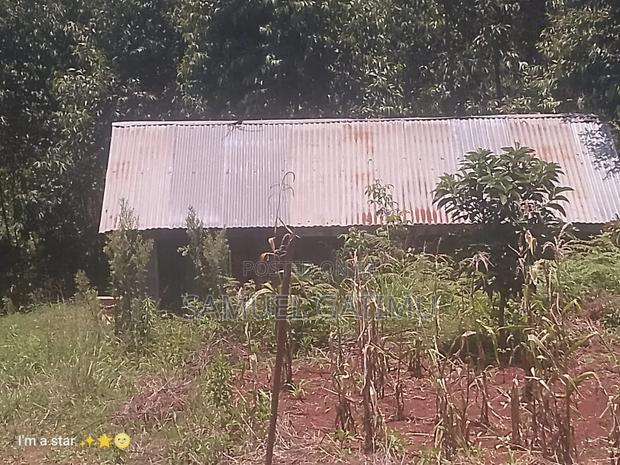 50/100 Njoro Ngewa Plot for Sale - thumbnail 16