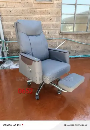 Executive Ergonomic Office Chair