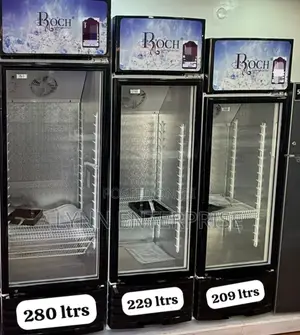 229 Litres Roch Vertical Showcase Model RSF-290-O Refrigerator