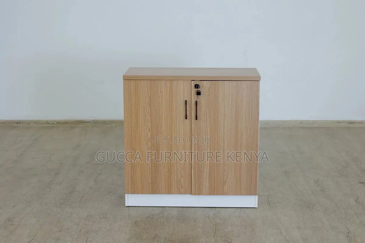 2-door Custom Credenza Office Filling Cabinet