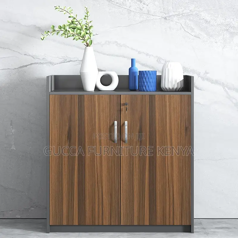 2-door Custom Credenza Office Filling Cabinet
