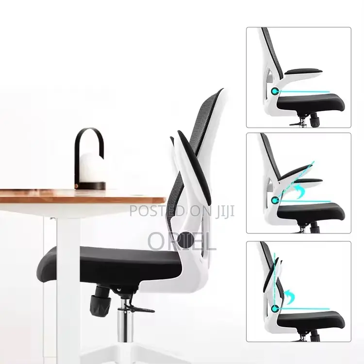Office Chair : Adjustable Lumbar Support Home Office Swivel Chair