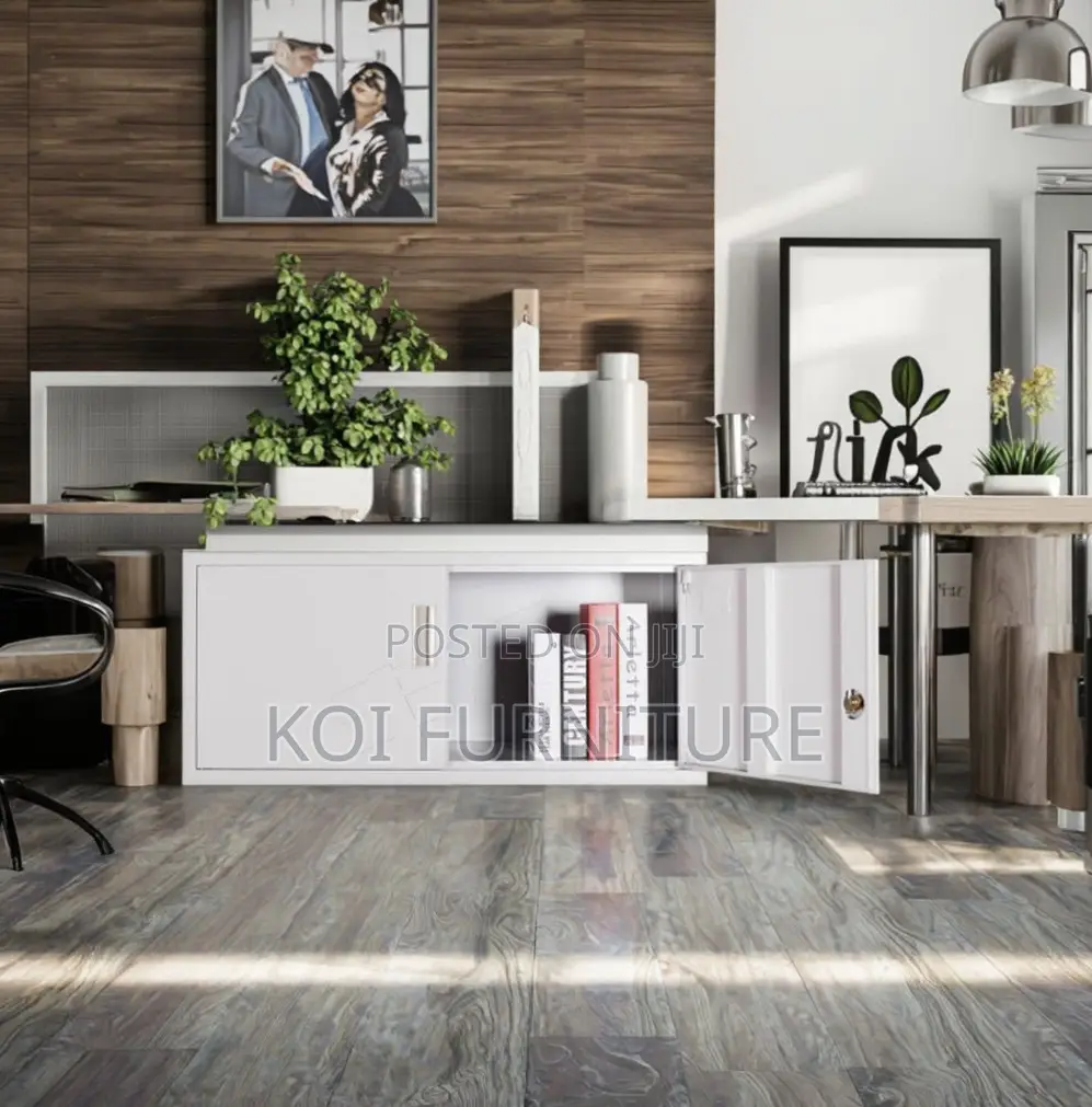 Office Cabinet; 2 Doors Steel Gray Office Cabinet