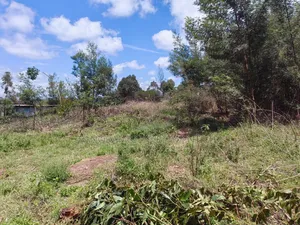 Half Acre for Sale in Gikambura Kikuyu Kiambu County.