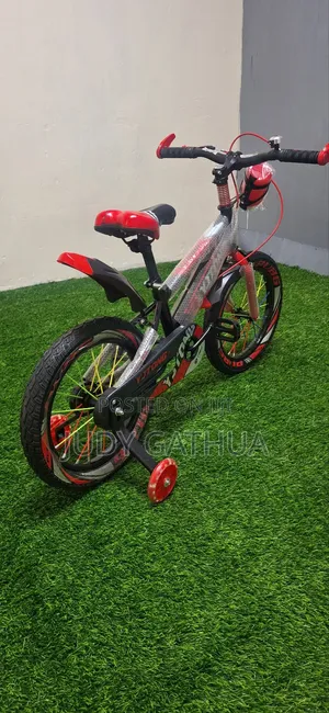 Bike Size 16