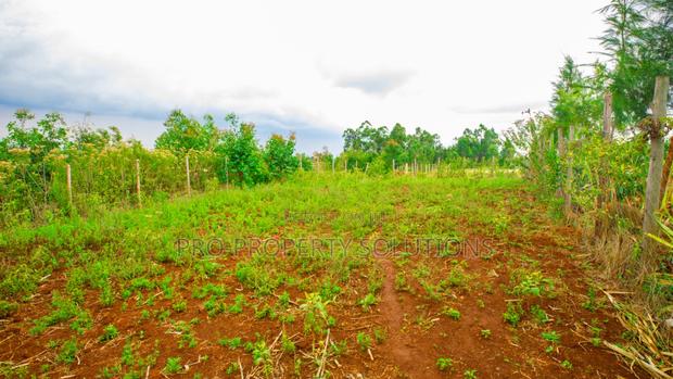 Prime Residential Plot for Sale in Kikuyu, Thigio. - thumbnail 3