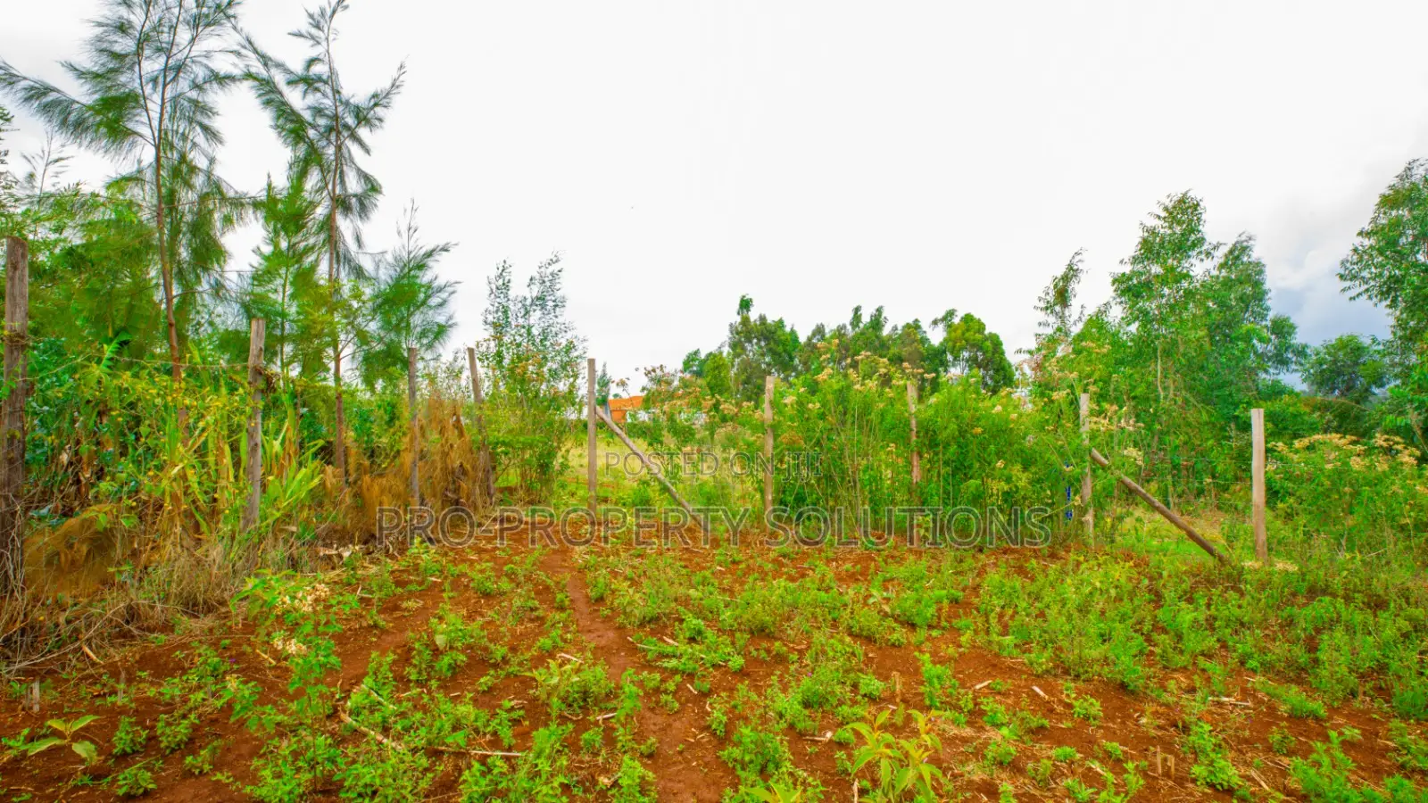Prime Residential Plot for Sale in Kikuyu, Thigio.