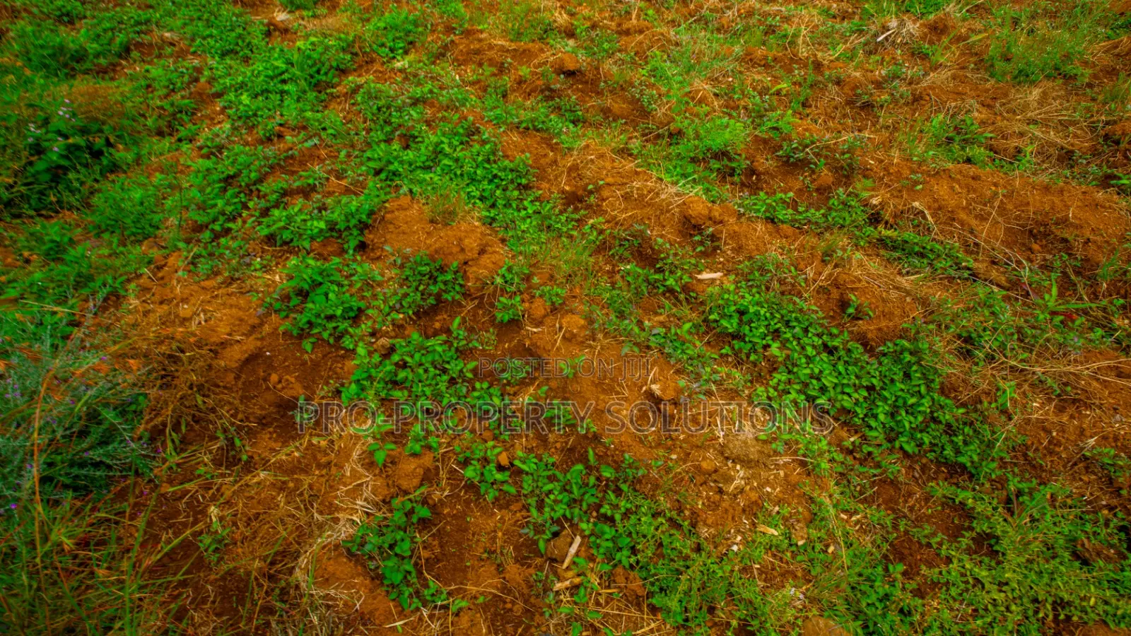Residential Serviced Plots for Sale in Kikuyu, Nguirubi - Thigio