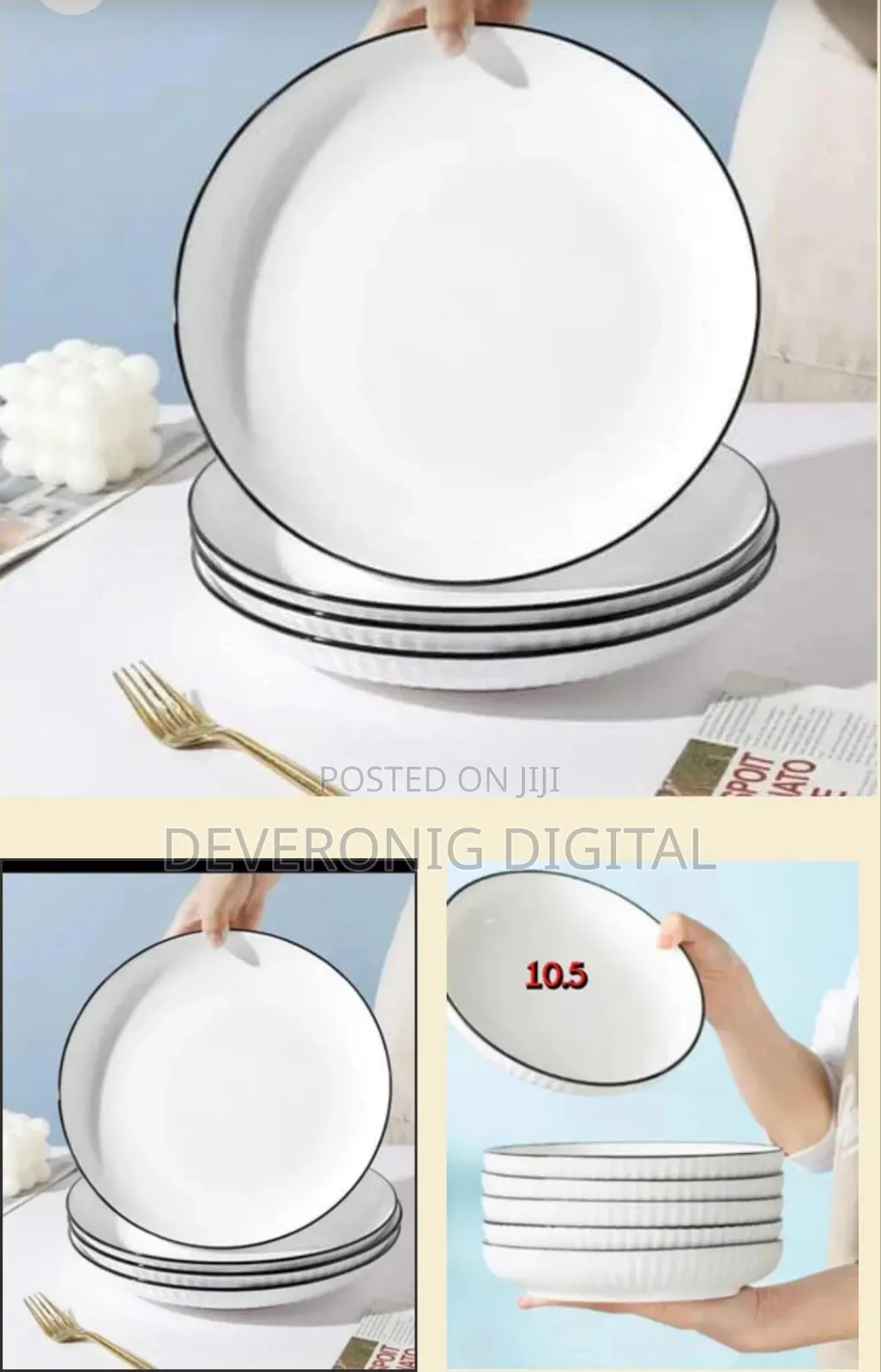 Japanese Dinner Plate