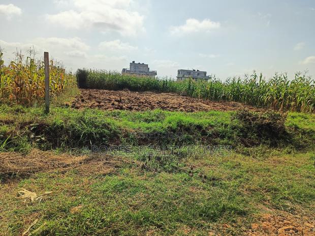 Prime Plots for Sale in Kiambu, a Gated Estate, Kiora Estate From 2.5m - thumbnail 4