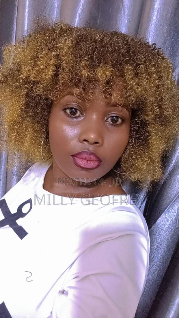 Affordable Fiber Wigs - thumbnail 2