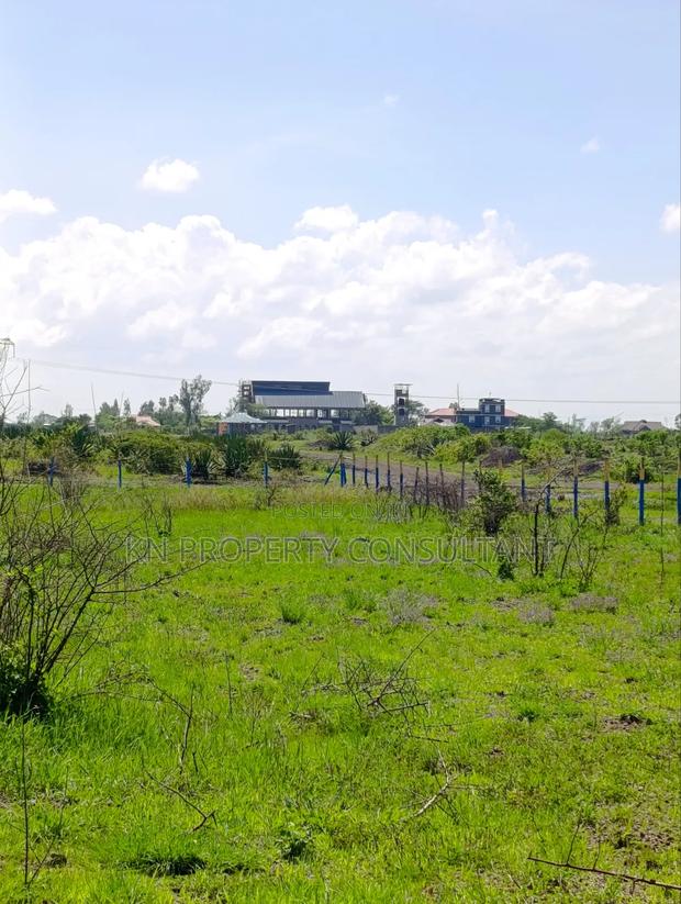 Juja Farm Plots - thumbnail 11