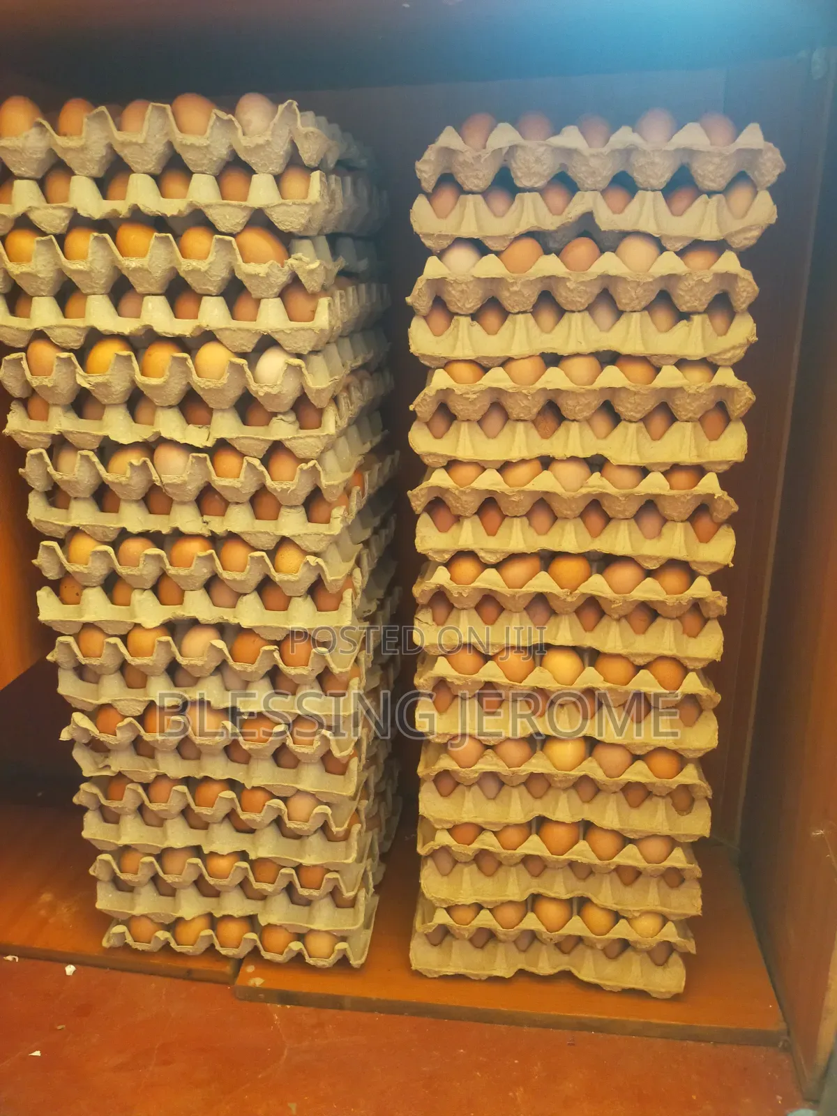 Fresh Eggs