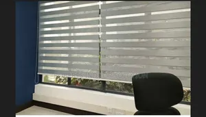 Modern Light Filtering Window Shades-Sheer Roller Blinds.