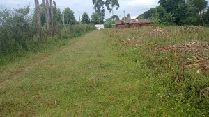 Plot for Sale