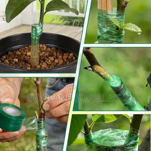 Stretchable Grafting Tape