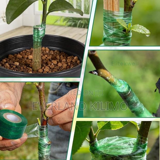 Stretchable Grafting Tape