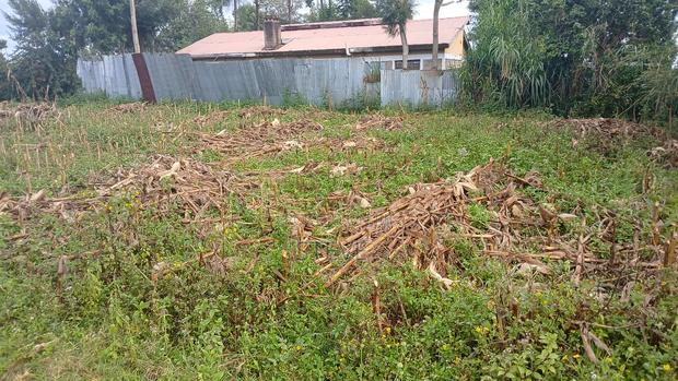 Plot for Sale - thumbnail 4