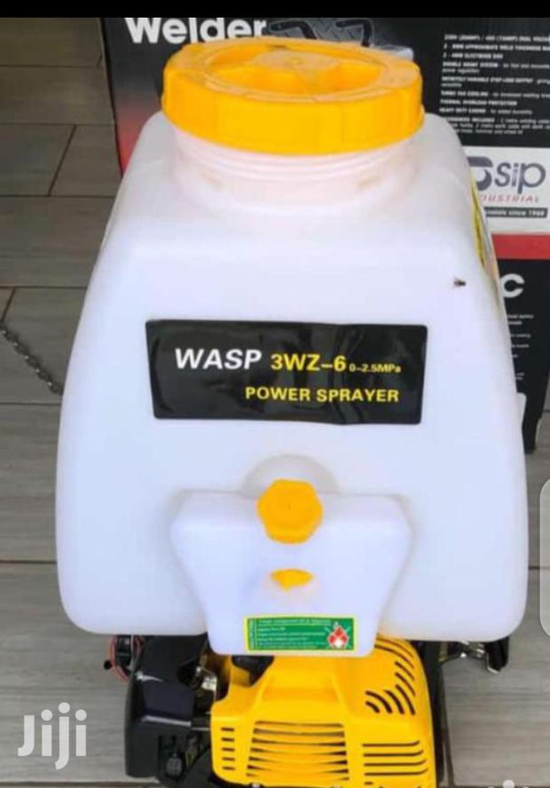 Petrol Powered Knapsack Sprayer