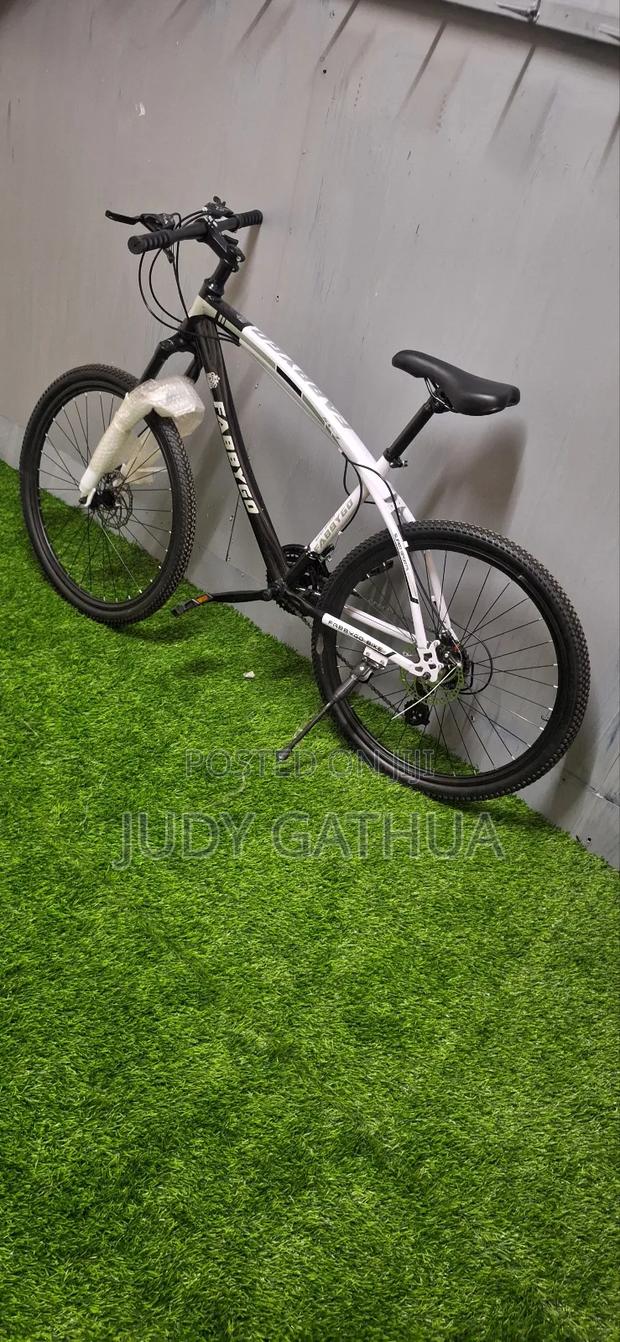 Disc Bike With Gear Size 26 - main view