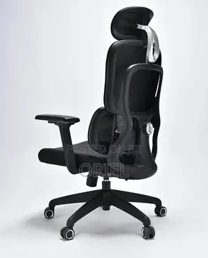 High Back Chair: Executive Computer Office Chair