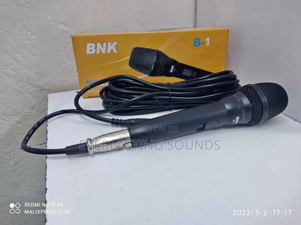 Bnk B-1 Professional Wired Microphone. - main view