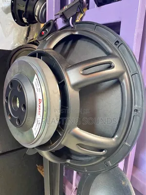 Derwel 150l202 Loudspeaker.