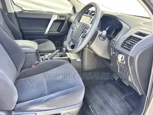Toyota Land Cruiser Prado 2019 Gray