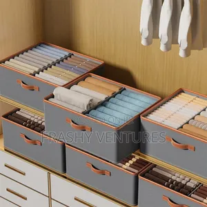 Partitioned Closet Organizer