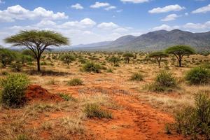 Plot On Sale In Voi, Taita Taveta - thumbnail 2