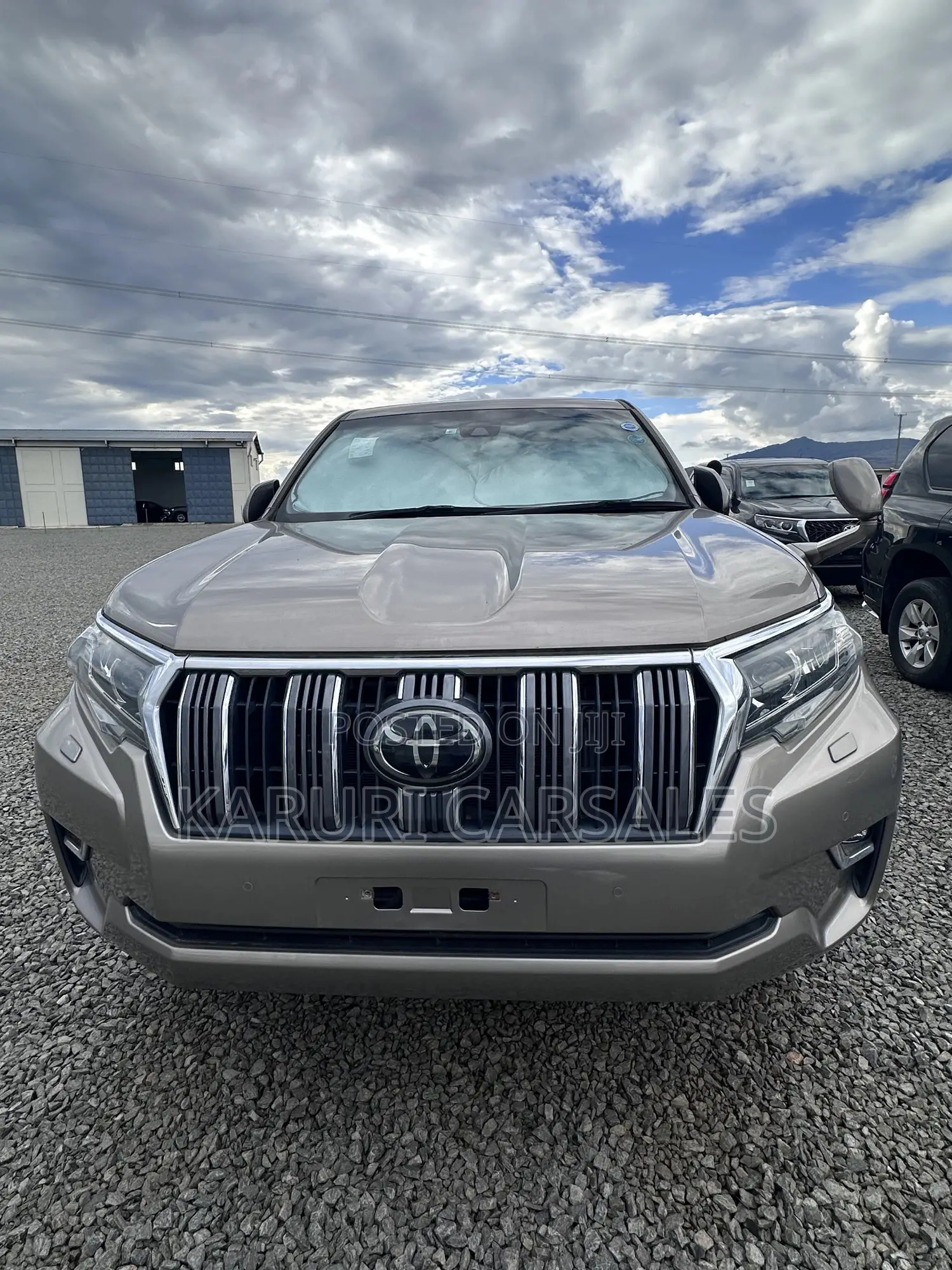 Toyota Land Cruiser Prado 2019 Gray