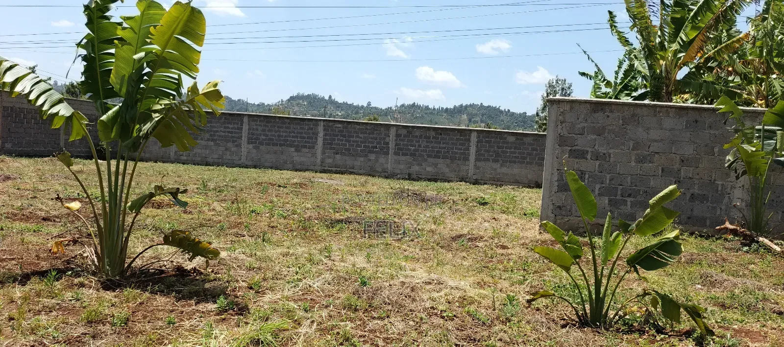 Kirinyaga / Kiangwachi Developed 3 Quota Touching Tarmac