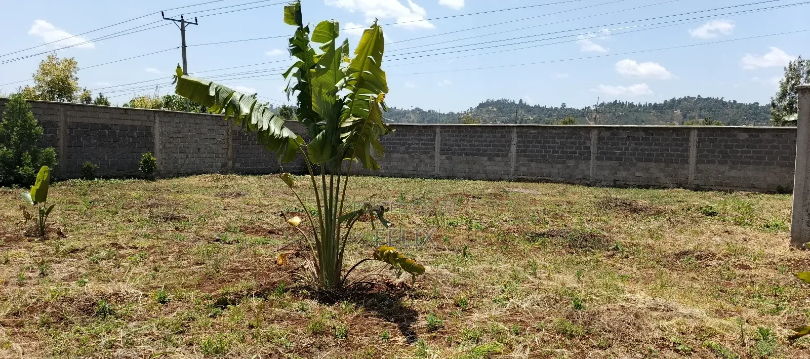 Kirinyaga / Kiangwachi Developed 3 Quota Touching Tarmac