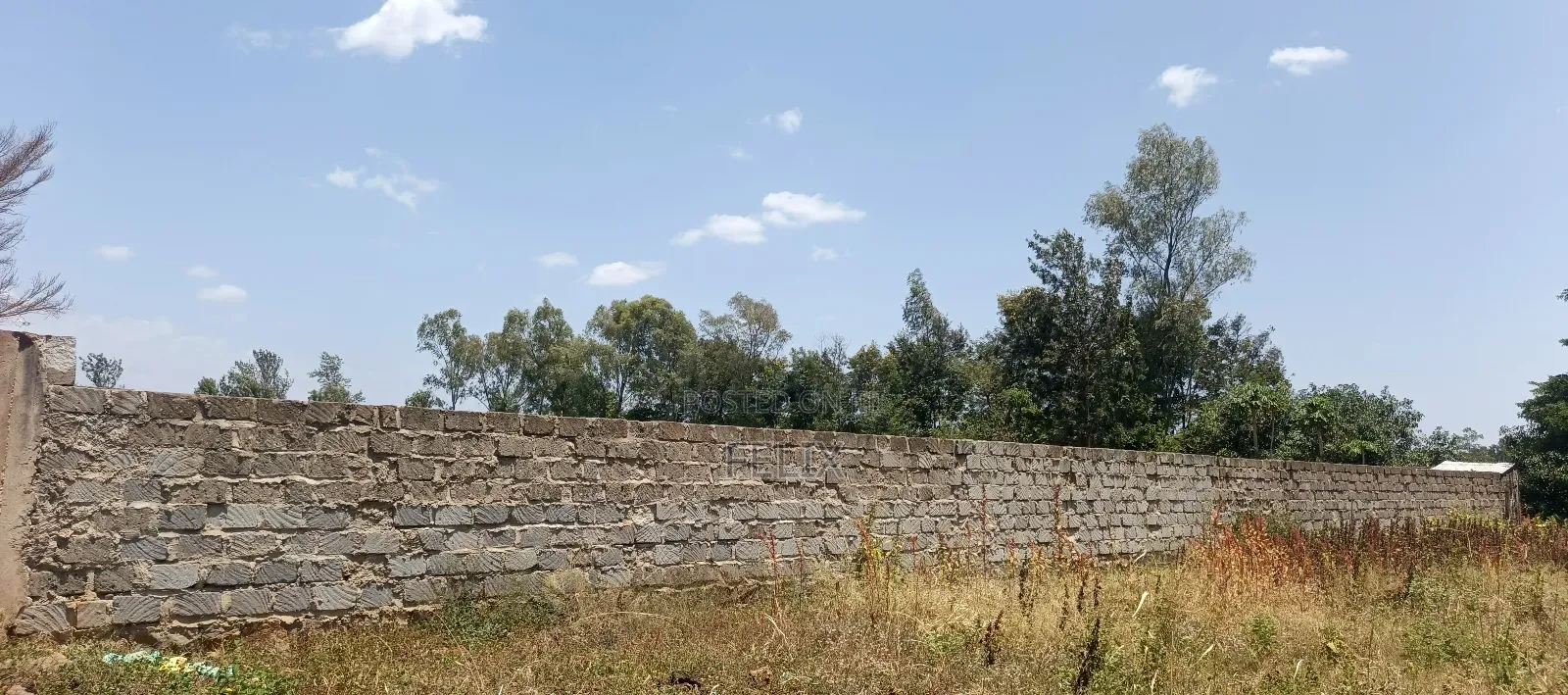 Kirinyaga / Kiangwachi Developed 3 Quota Touching Tarmac